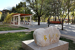 對(duì)外經(jīng)濟(jì)貿(mào)易大學(xué)書籍飄墨香